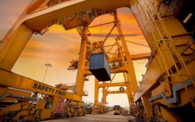 The Ultimate Guide to Import & Export Strategies