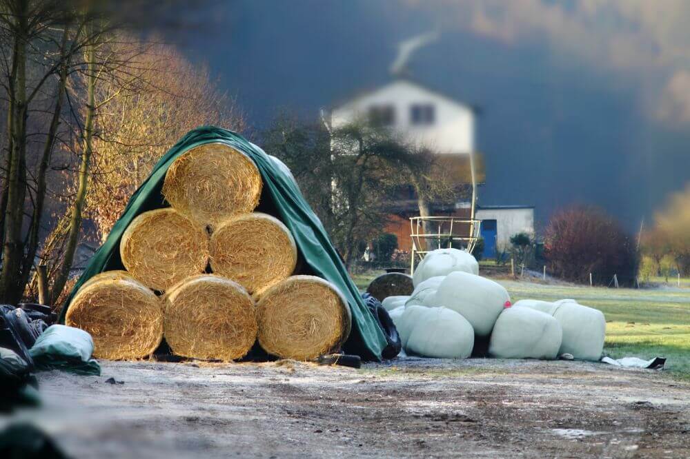 Essential Uses of Tarpaulin in Construction